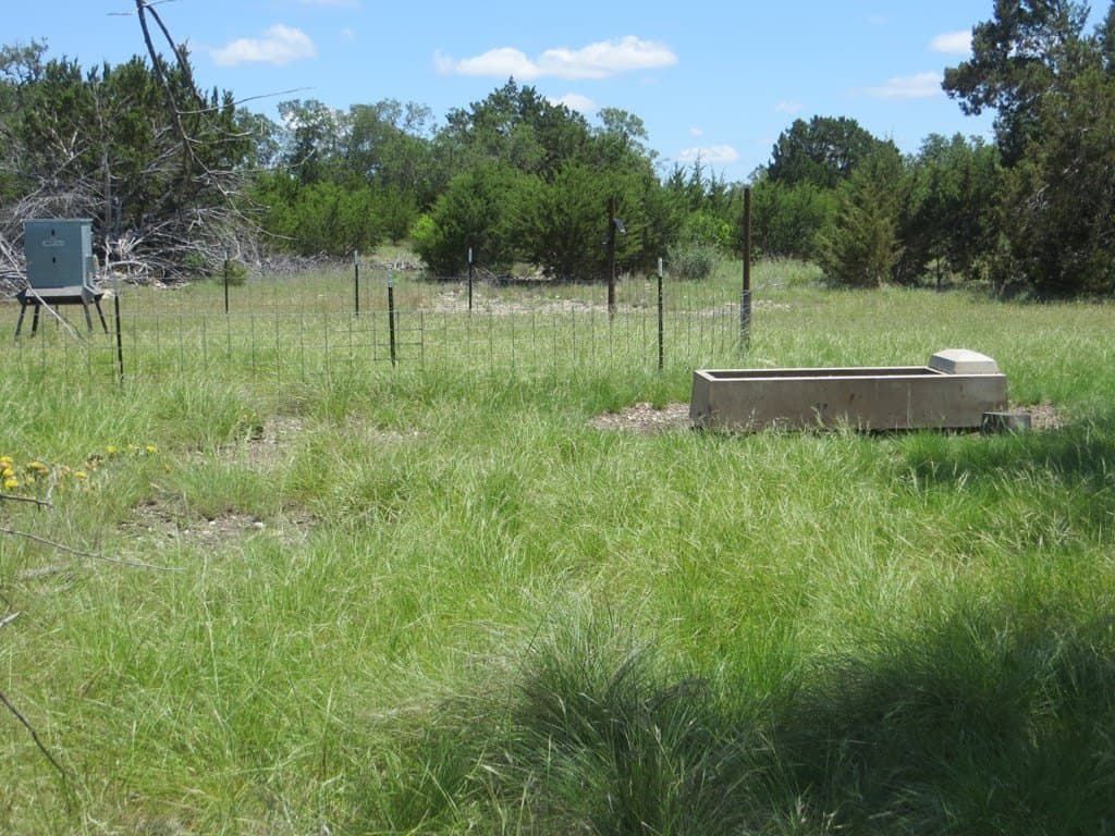 655.6 acres in Kimble County - photo 15