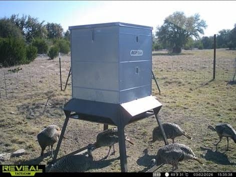 655.6 acres in Kimble County - photo 49