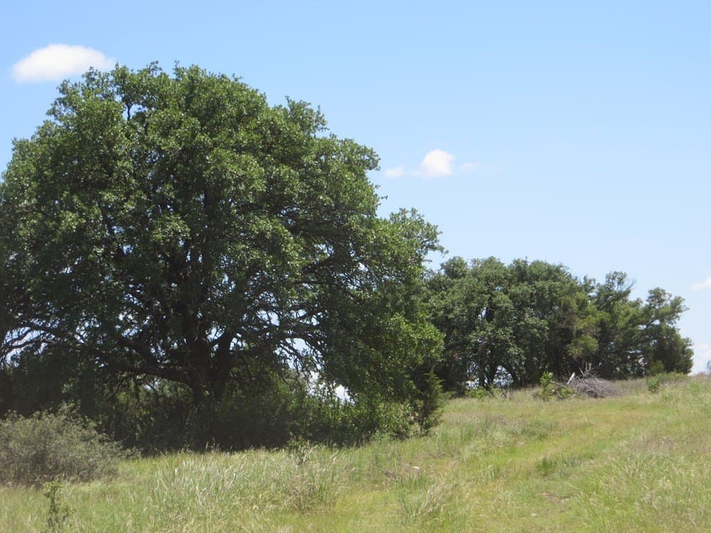 655.6 acres in Kimble County - photo 24
