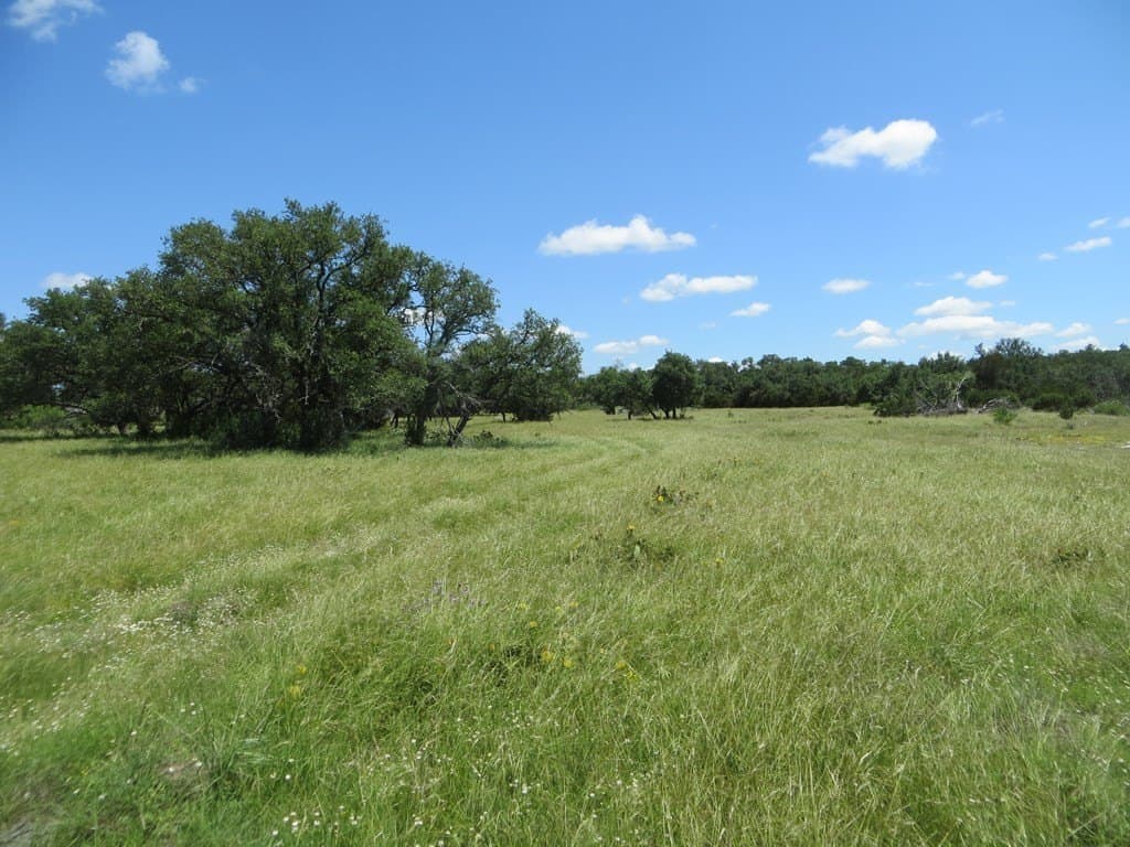 655.6 acres in Kimble County - photo 42
