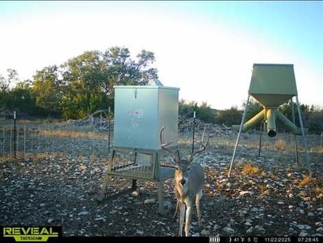 655.6 acres in Kimble County - photo 52