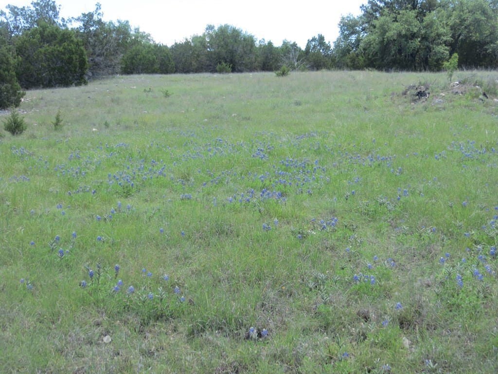 655.6 acres in Kimble County - photo 2