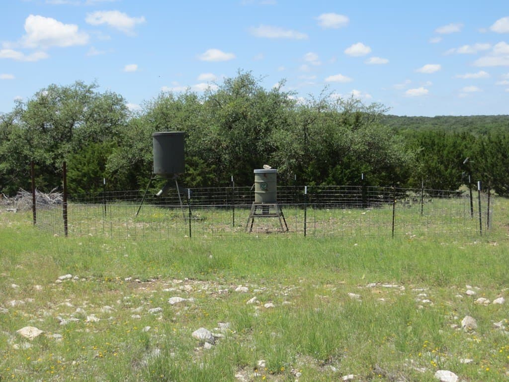 655.6 acres in Kimble County - photo 5