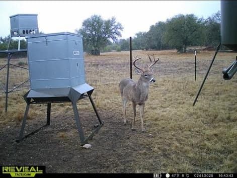 655.6 acres in Kimble County - photo 50
