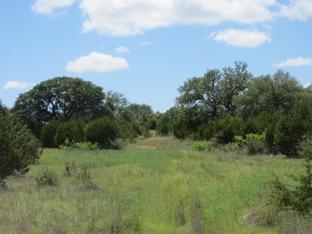 655.6 acres in Kimble County - photo 22