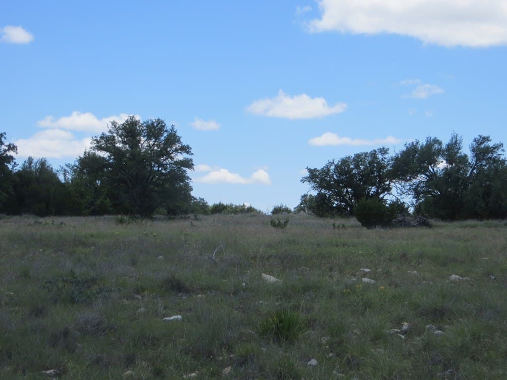 655.6 acres in Kimble County - photo 3