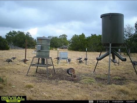 655.6 acres in Kimble County - photo 45