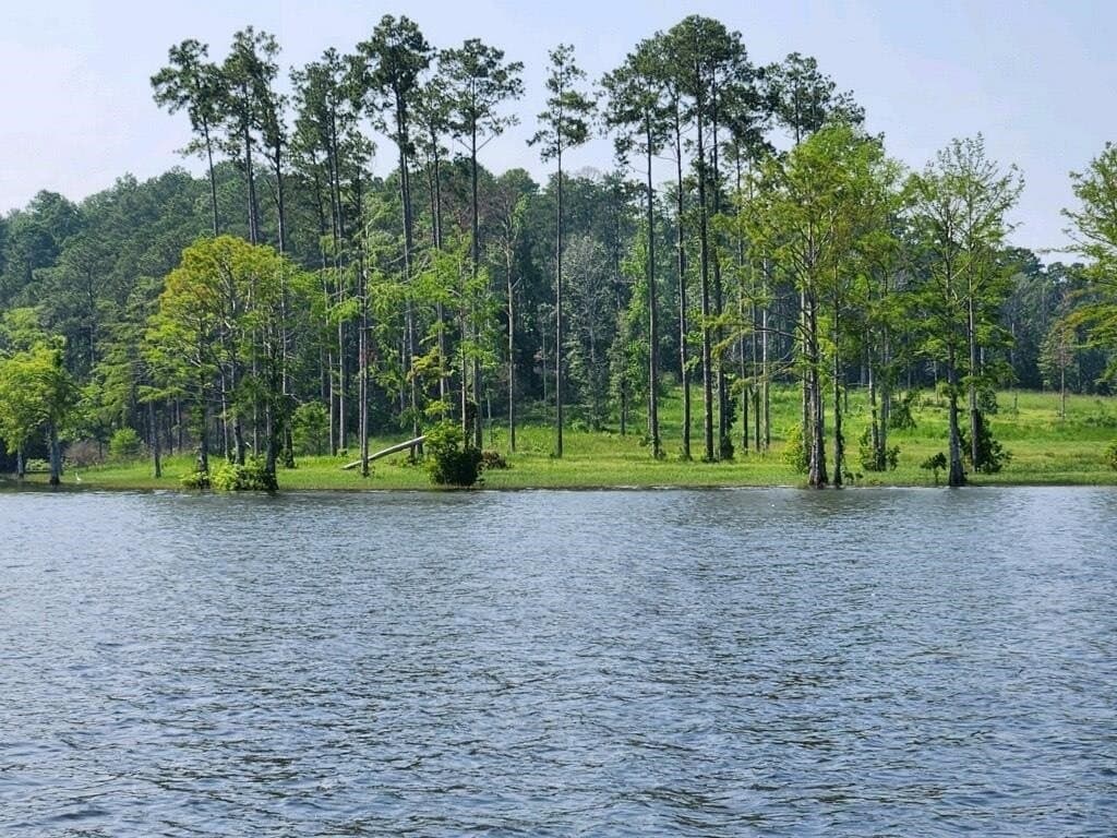 1 acres in Texas County - photo 7
