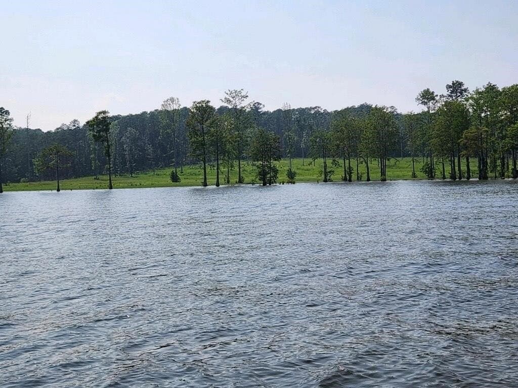1 acres in Texas County - photo 11