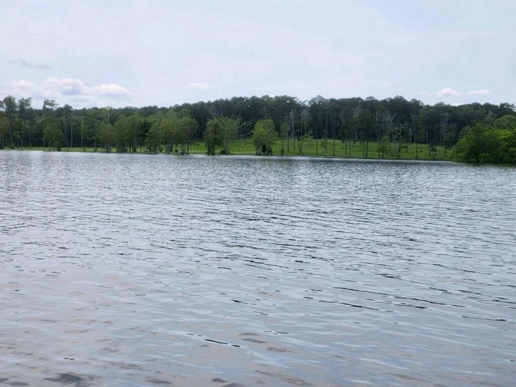 1 acres in Texas County - photo 9