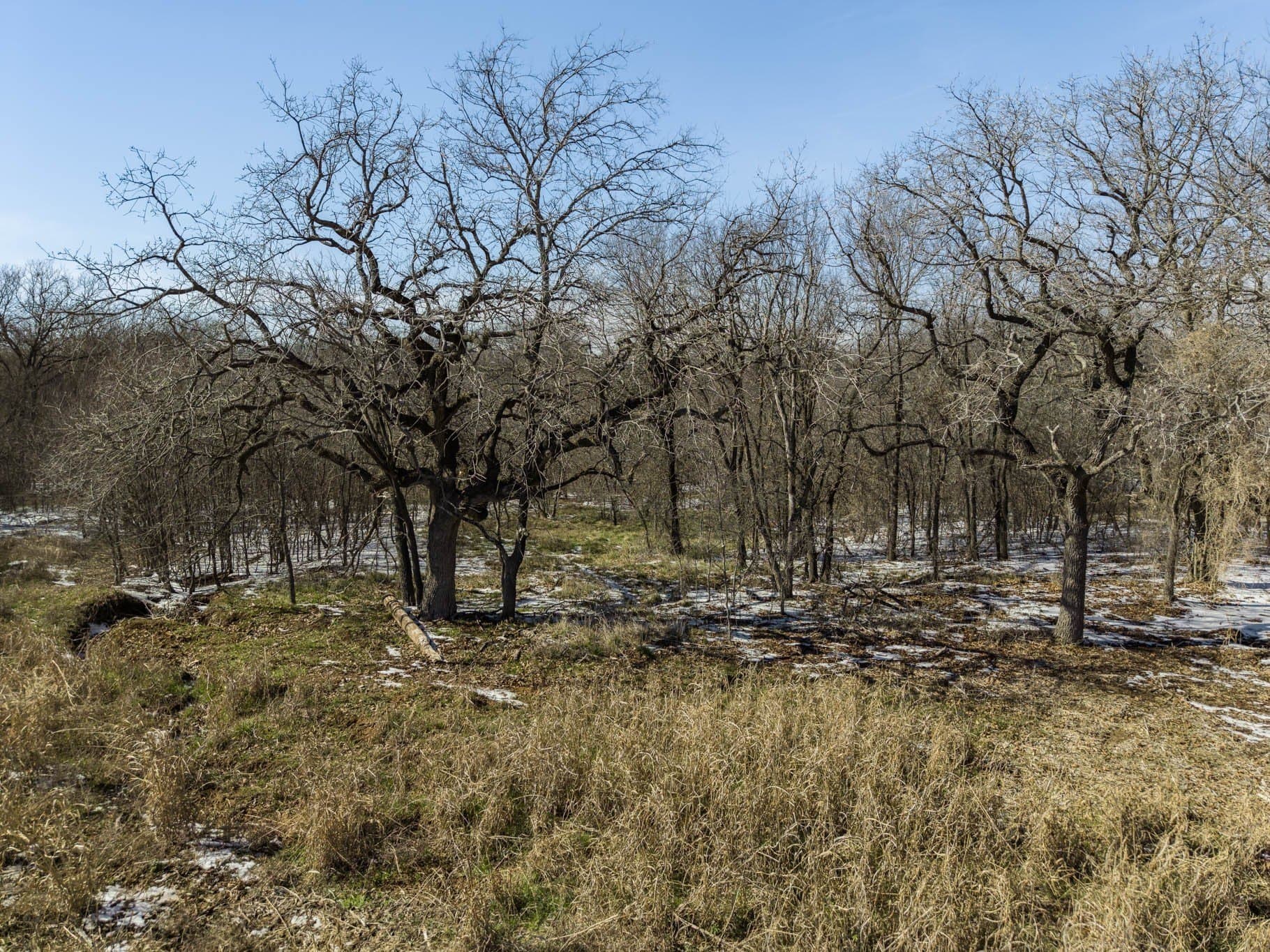 1.2 acres in Hill County - photo 16