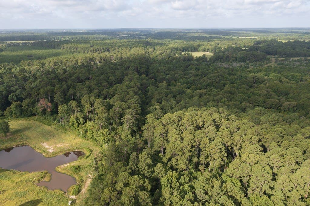 8.25 acres in Texas County - photo 2