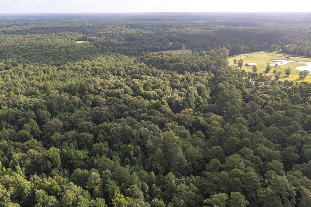 8.25 acres in Texas County - photo 3