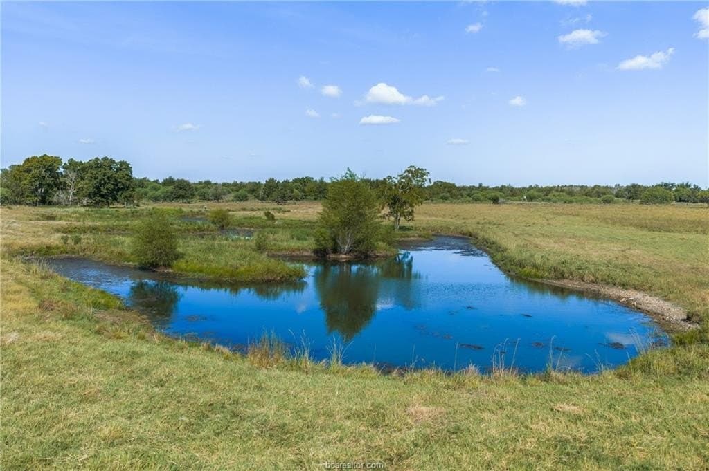 25.02 acres in Robertson County - photo 3