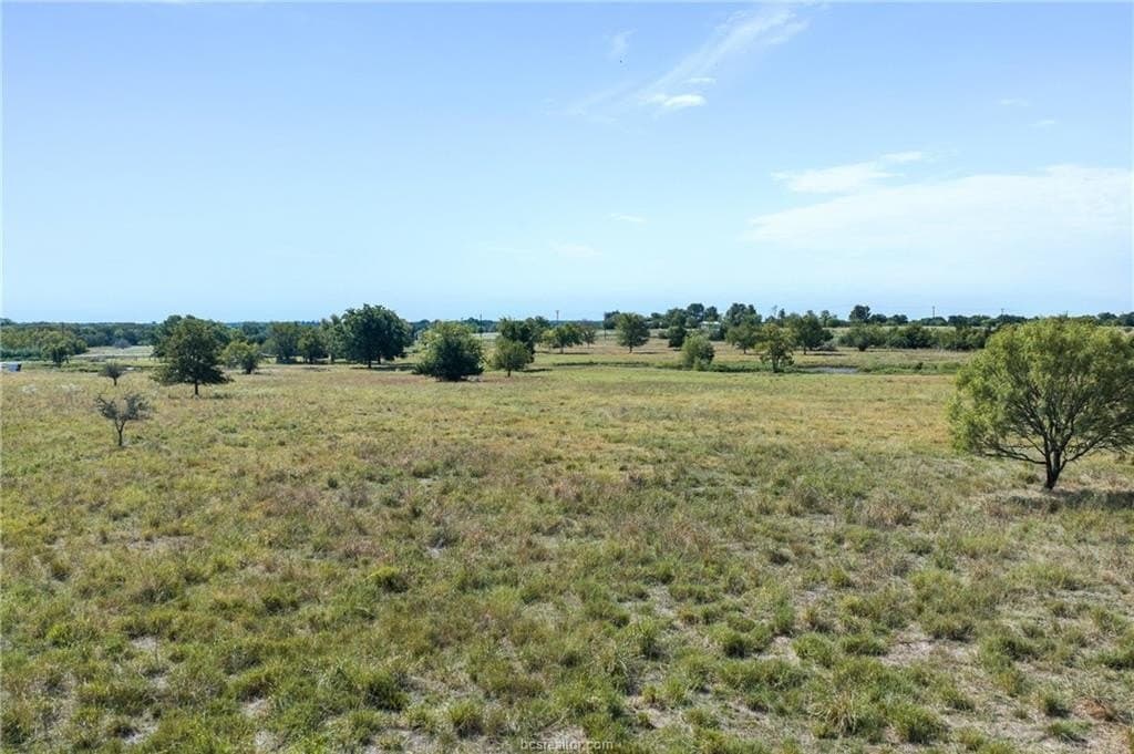 25.02 acres in Robertson County - photo 6