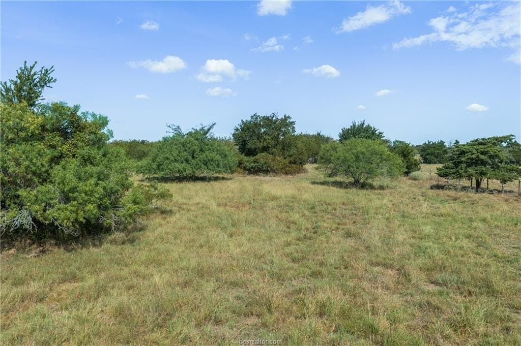 25.02 acres in Robertson County - photo 4