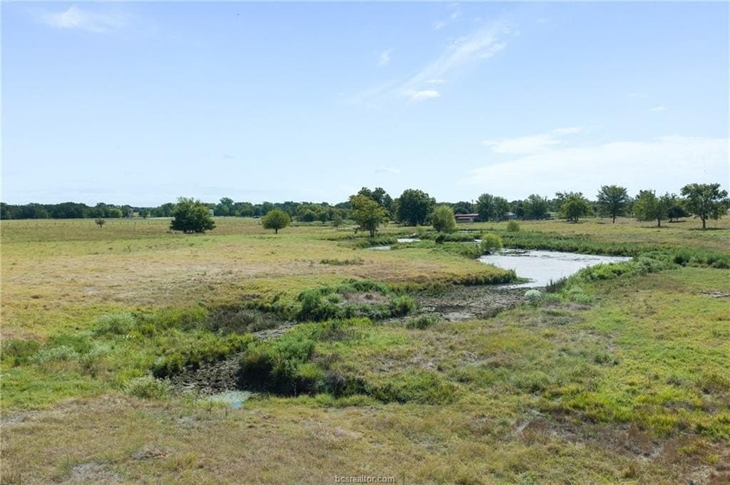 25.02 acres in Robertson County - photo 5