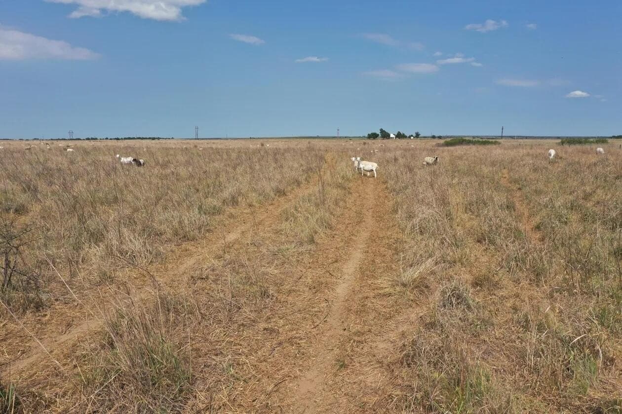 240 acres in Wheeler County - photo 26