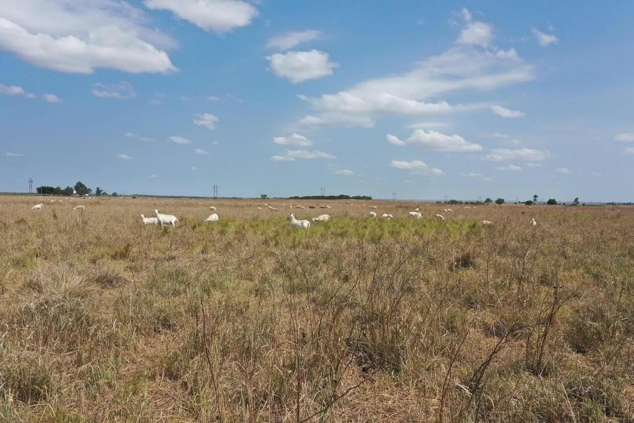 240 acres in Wheeler County - photo 22