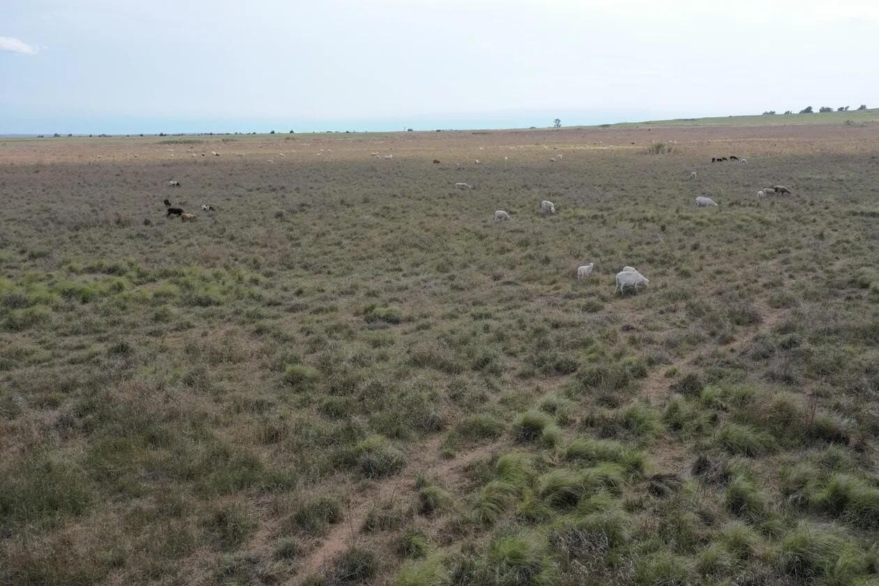 240 acres in Wheeler County - photo 21
