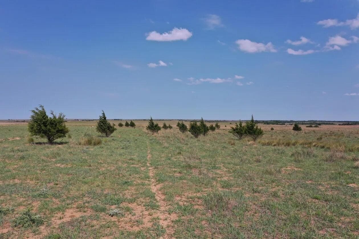 240 acres in Wheeler County - photo 7