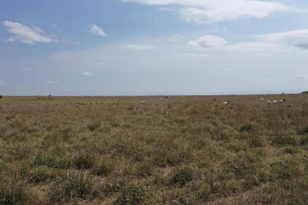 240 acres in Wheeler County - photo 18