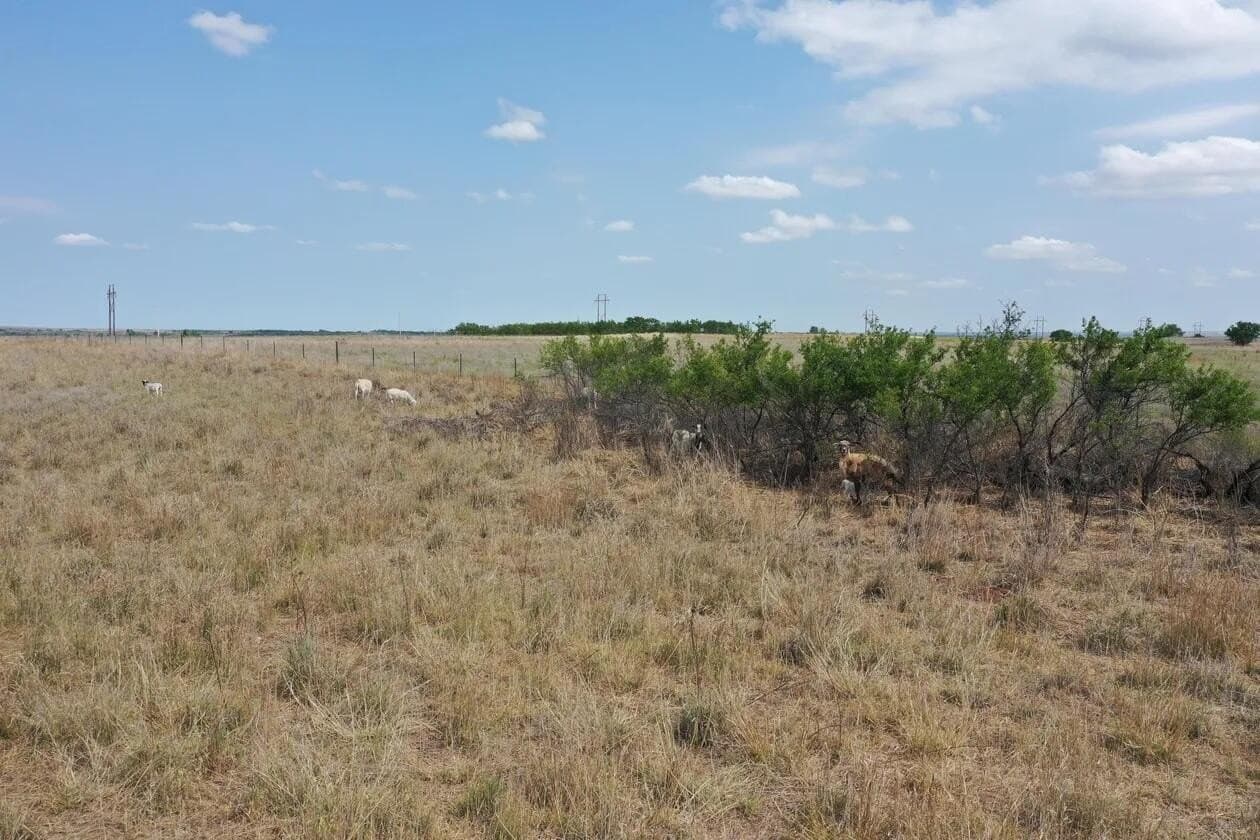 240 acres in Wheeler County - photo 27