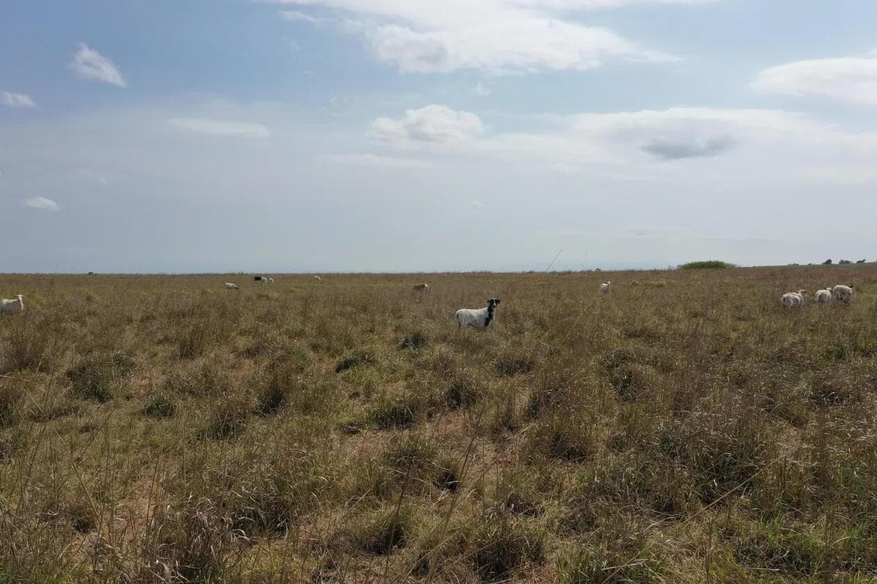 240 acres in Wheeler County - photo 17