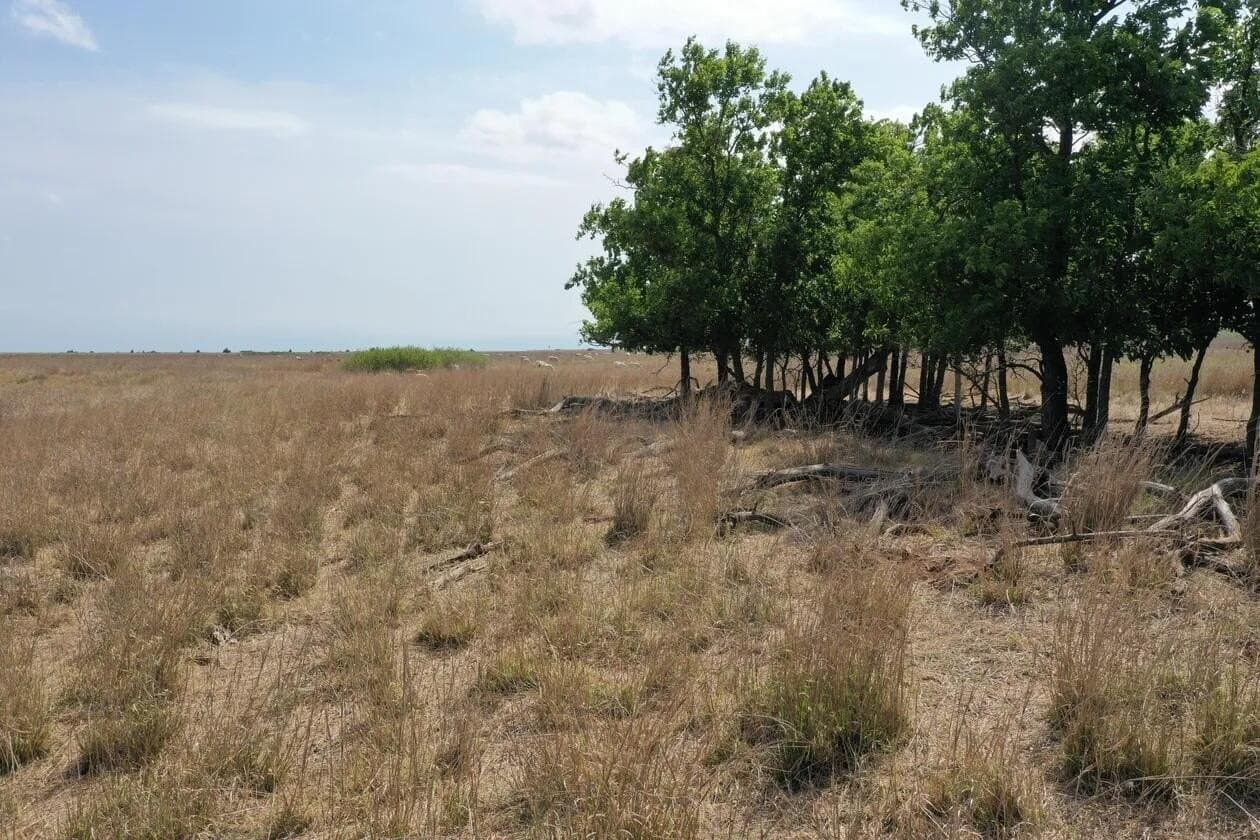 240 acres in Wheeler County - photo 19