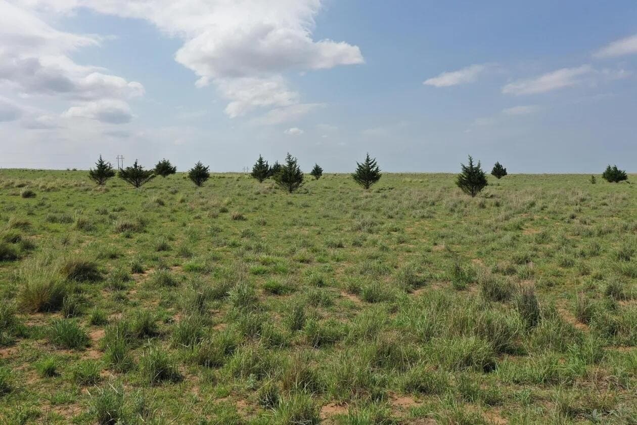 240 acres in Wheeler County - photo 11