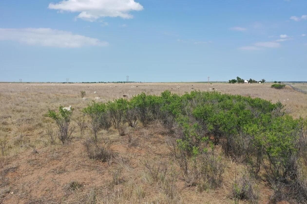 240 acres in Wheeler County - photo 24