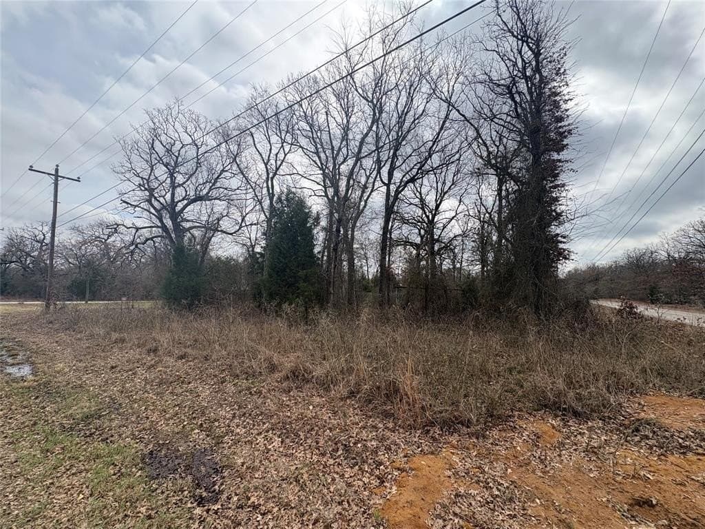 0.1 acres in Henderson County gallery image 2