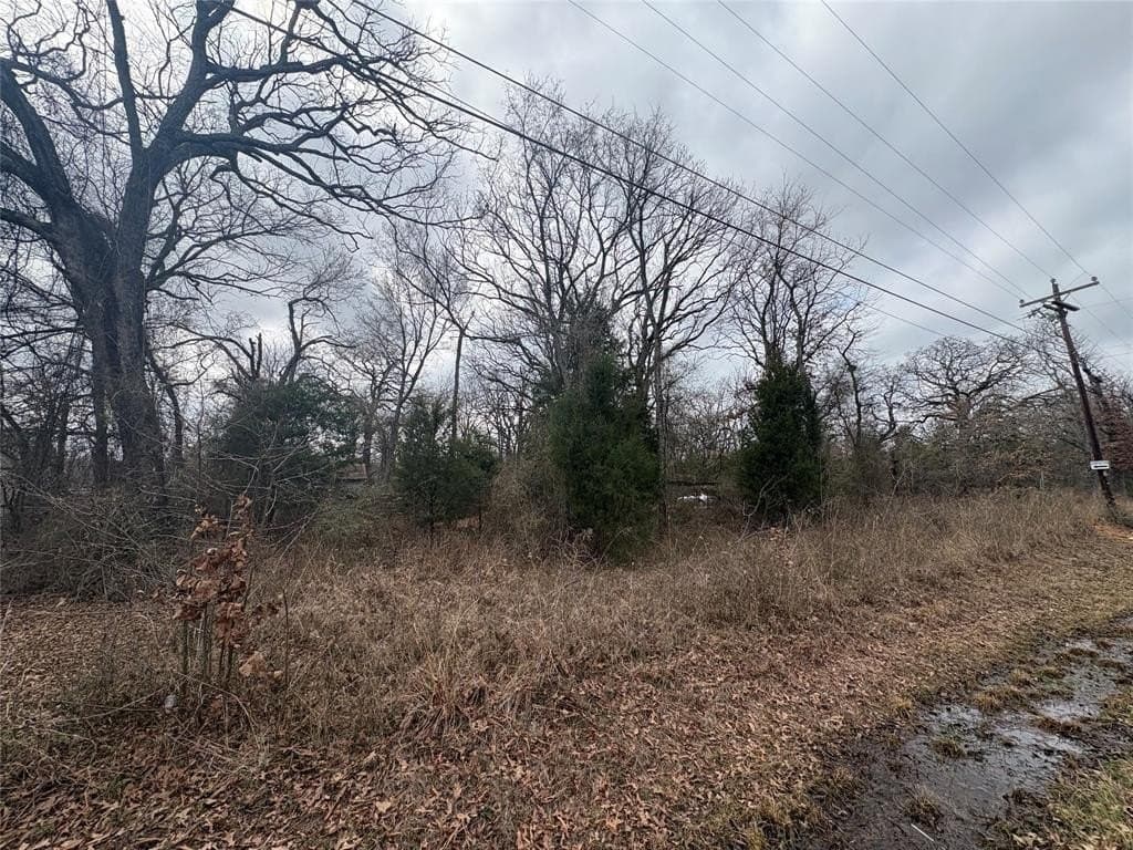 0.1 acres in Henderson County gallery image 3