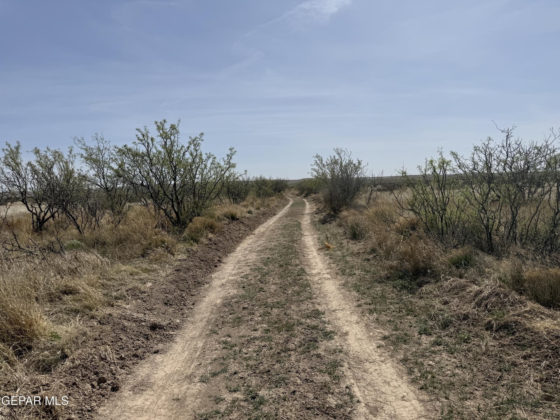 20 acres in Hudspeth County - photo 10