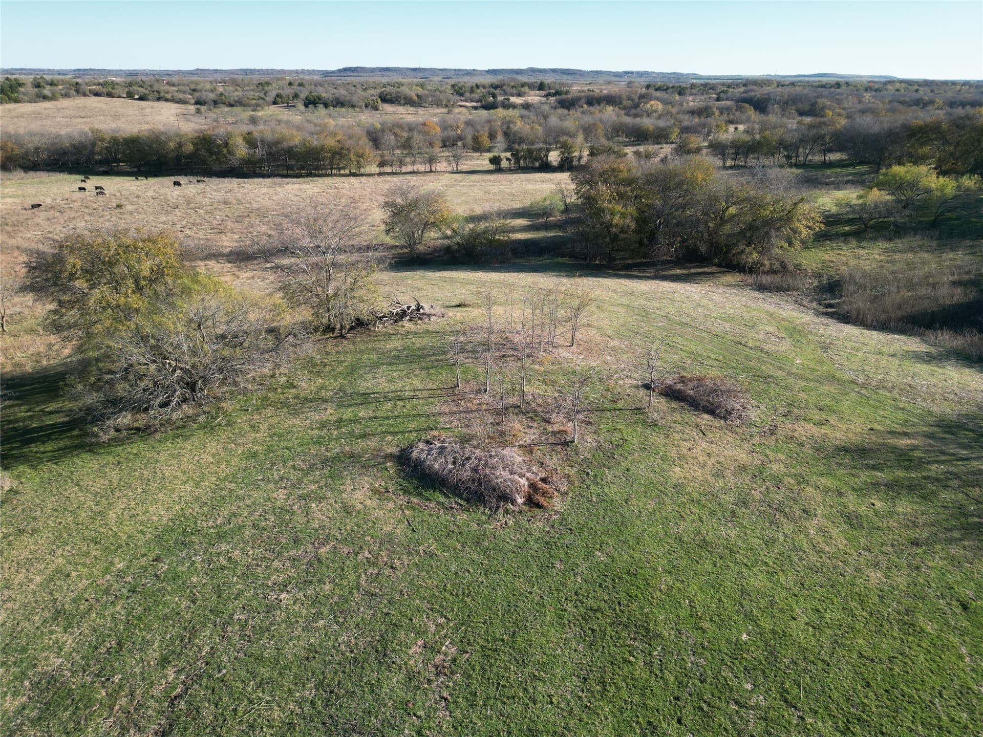 13.47 acres in Hill County - photo 7