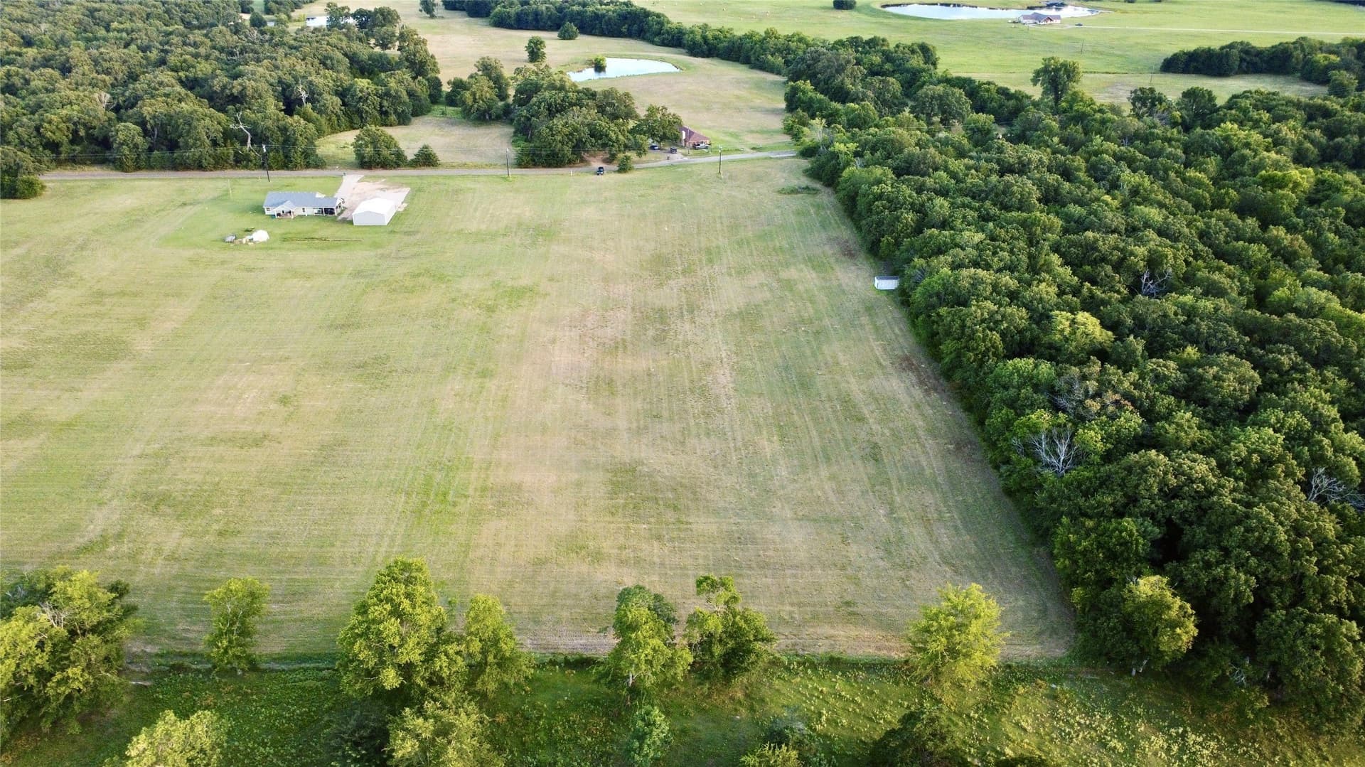 6 acres in Hopkins County gallery image 4