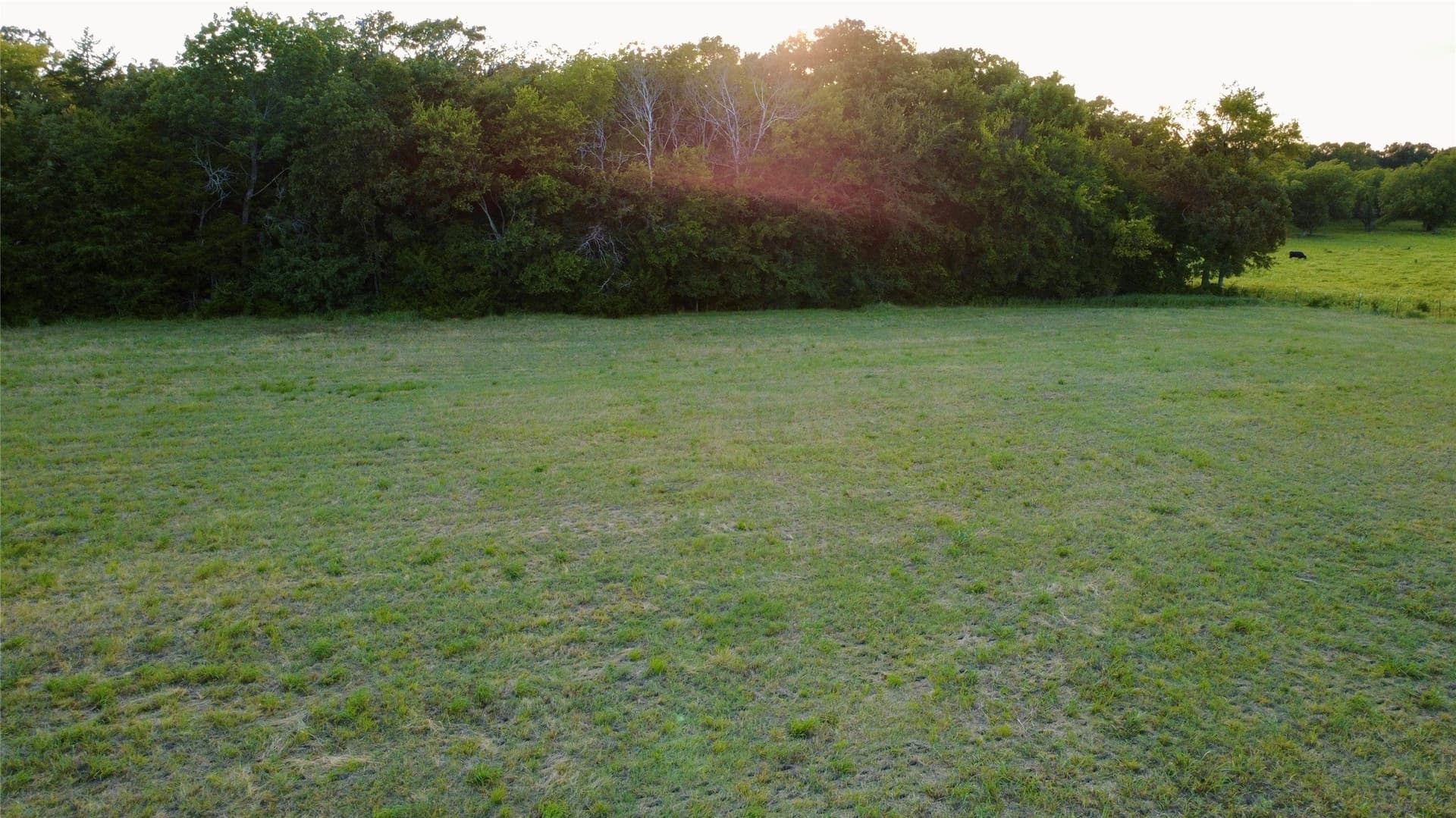 6 acres in Hopkins County - photo 9