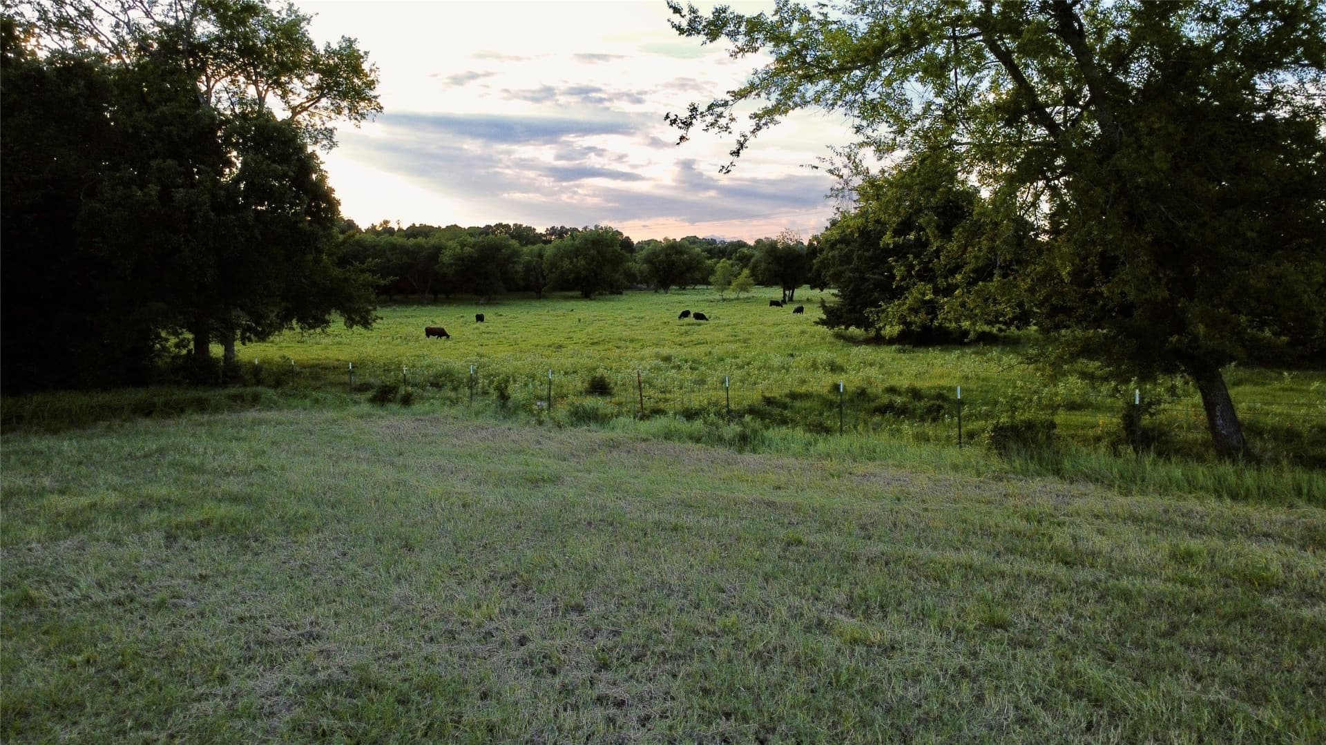 6 acres in Hopkins County - photo 12