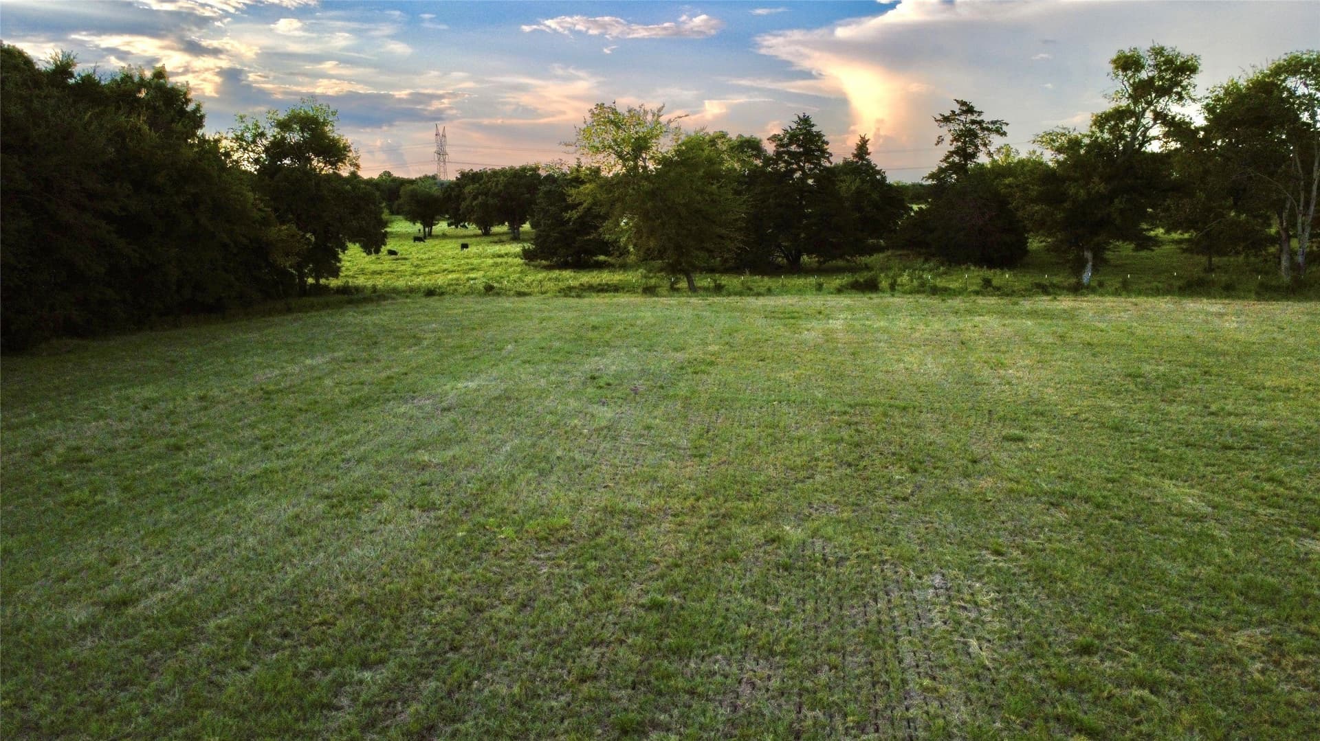 6 acres in Hopkins County - photo 11