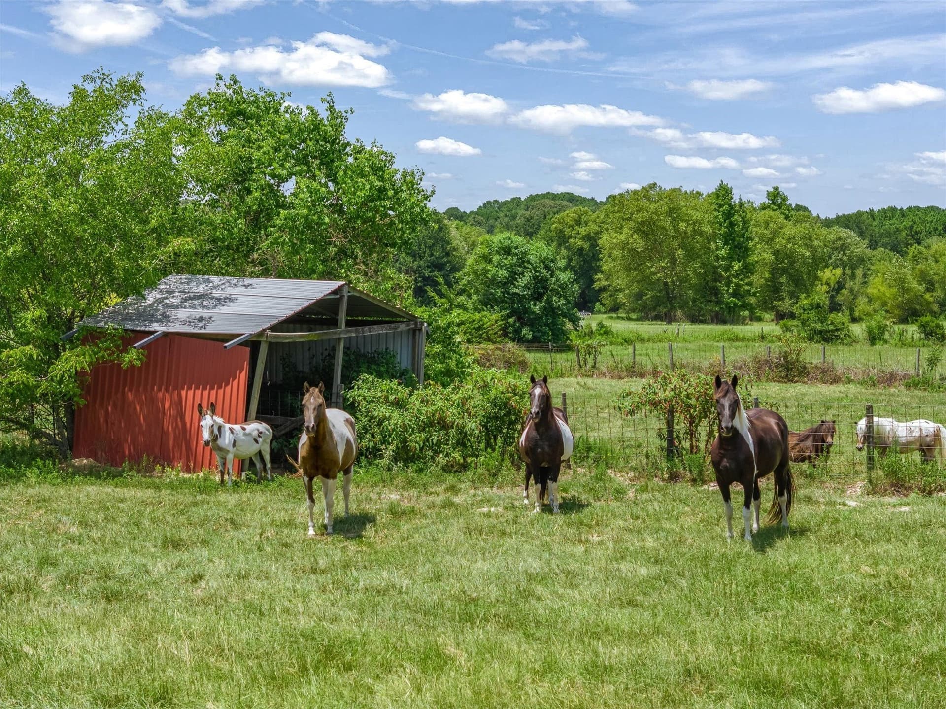 13.12 acres in Van Zandt County - photo 33