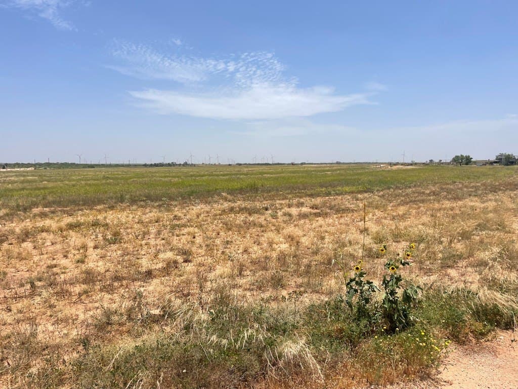 75.51 acres in Scurry County - photo 3