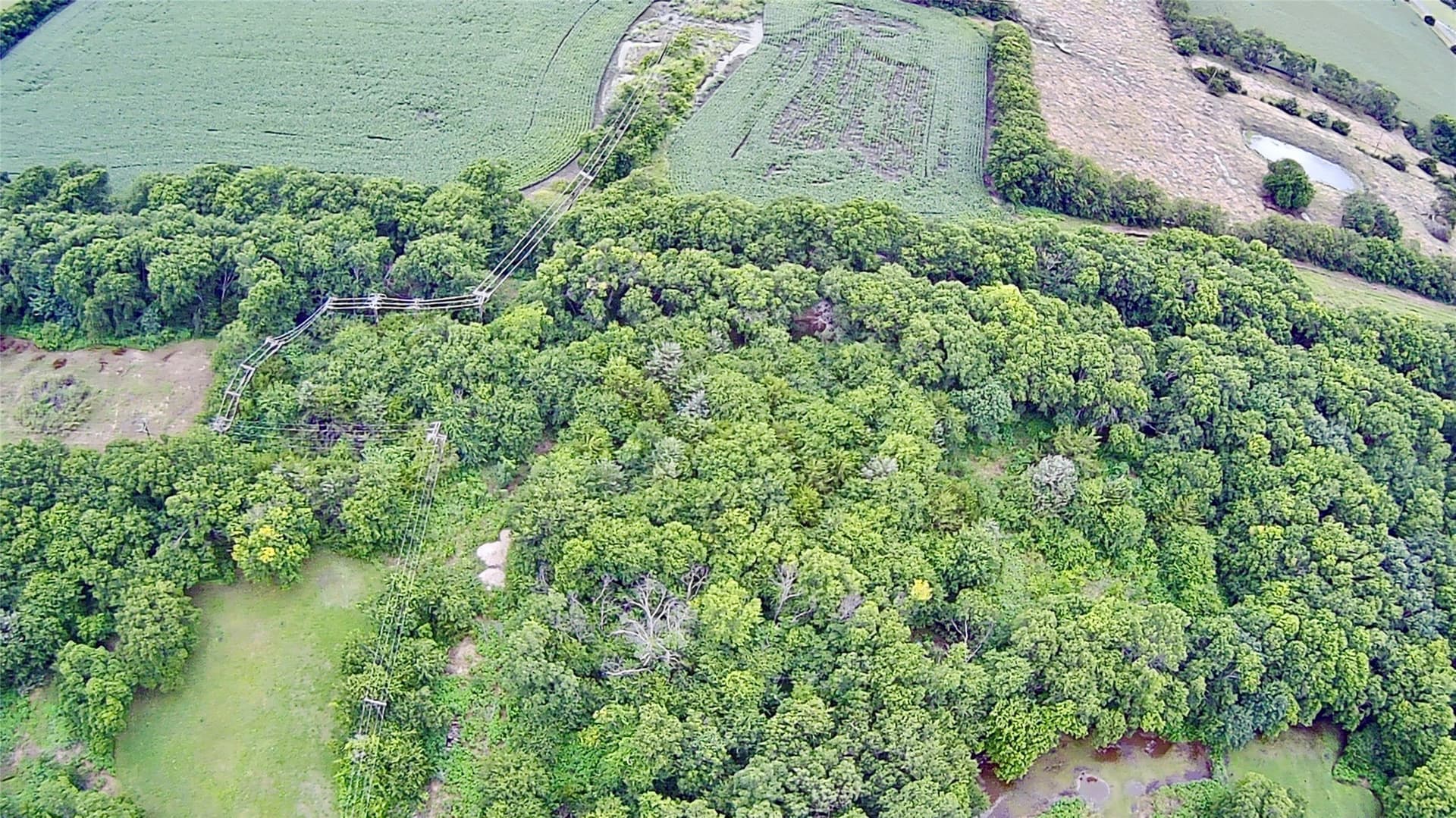 0.35 acres in Collin County - photo 2