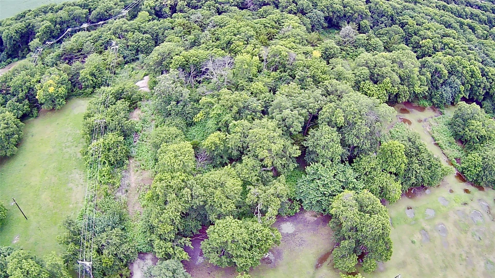 0.35 acres in Collin County