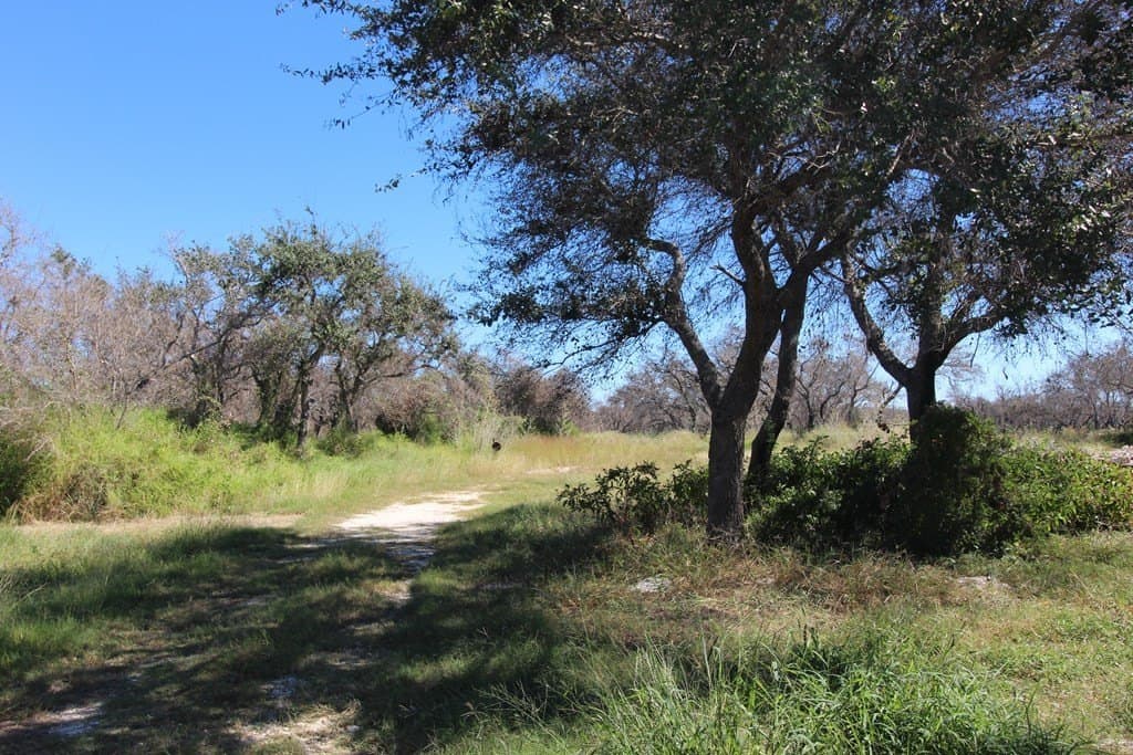 0 acres in Texas County featured view