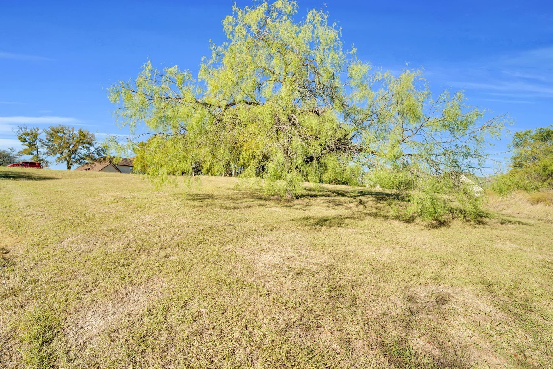 1.64 acres in Dallas County - photo 16