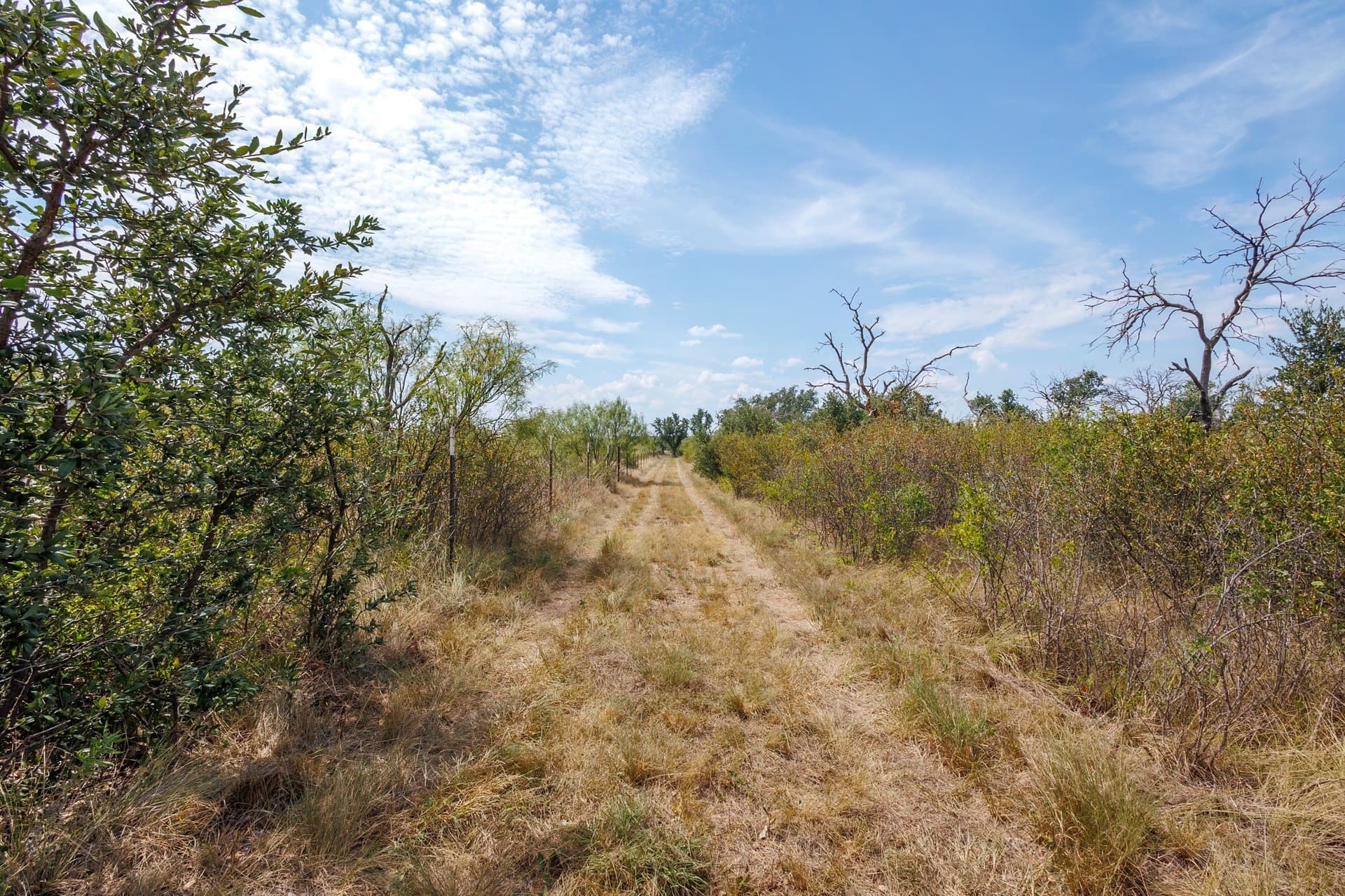 44.85 acres in Brown County - photo 6