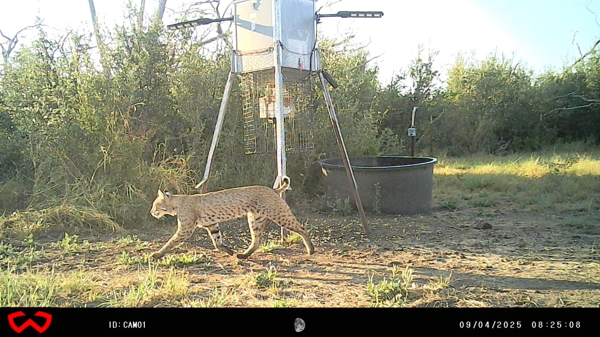 44.85 acres in Brown County - photo 38