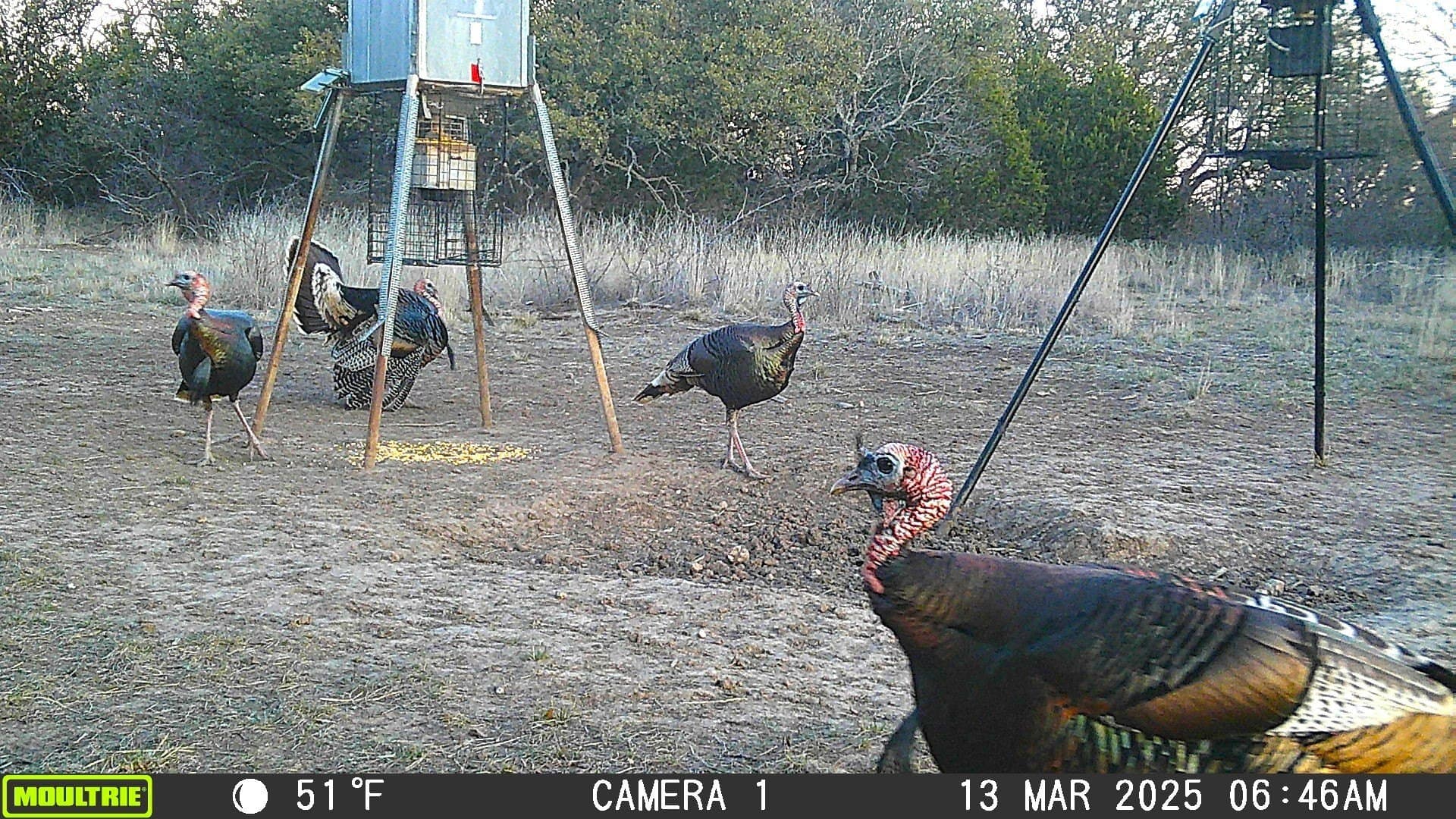 44.85 acres in Brown County - photo 35