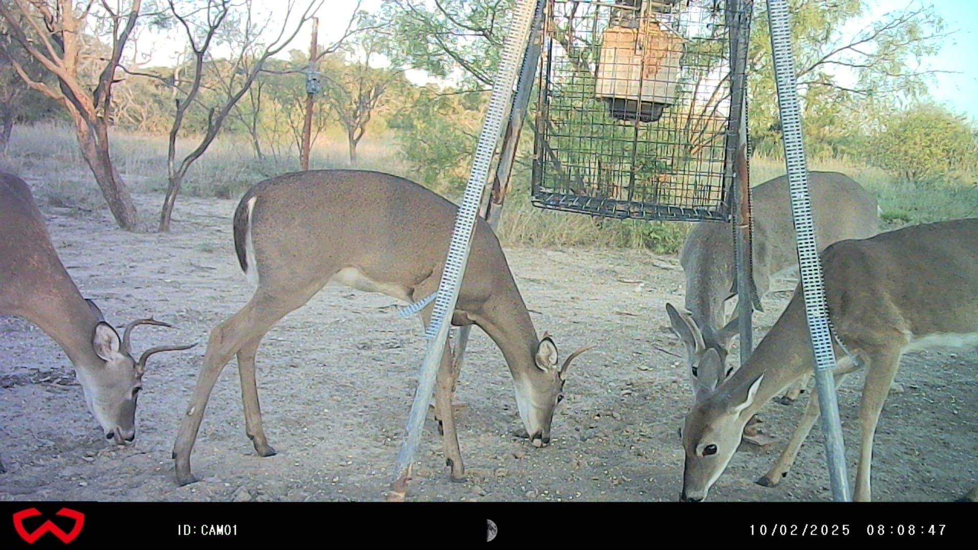 44.85 acres in Brown County - photo 39