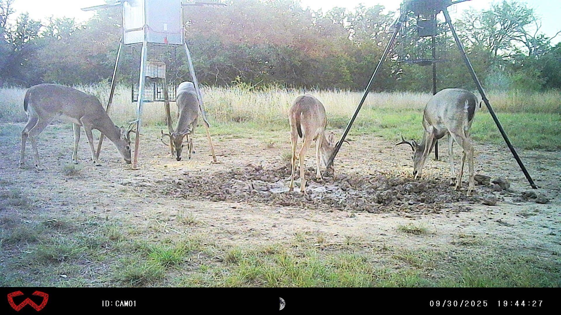 44.85 acres in Brown County - photo 33